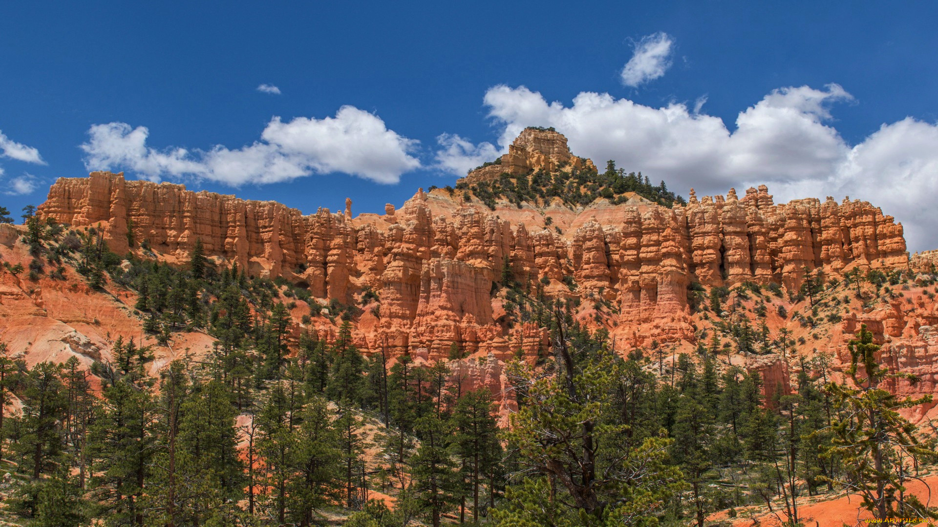 bryce canyon national park , utah, , , bryce, canyon, national, park
